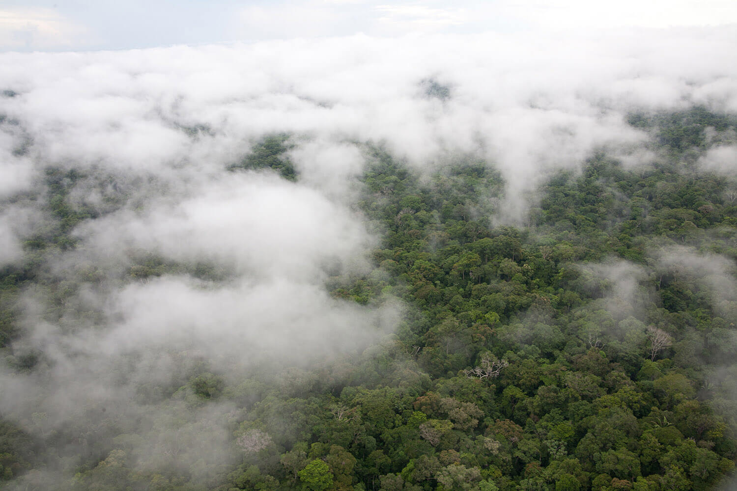 16AMAZONAS slider 3_MG_9800.jpg
